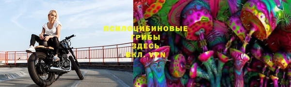 винт Алексеевка