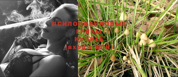 индика Абаза