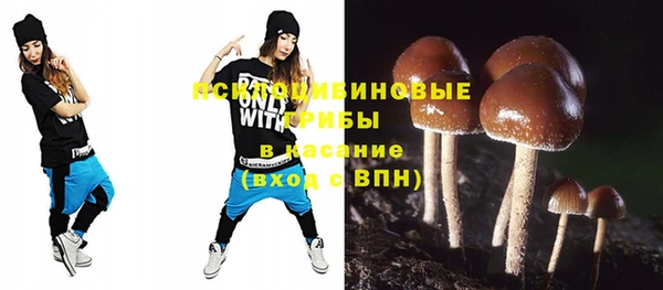 ГАЛЛЮЦИНОГЕННЫЕ ГРИБЫ Алексин