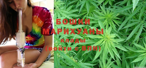 ГАЛЛЮЦИНОГЕННЫЕ ГРИБЫ Алексин