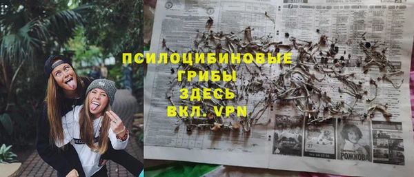 винт Алексеевка