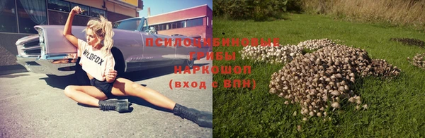 ГАЛЛЮЦИНОГЕННЫЕ ГРИБЫ Алексин
