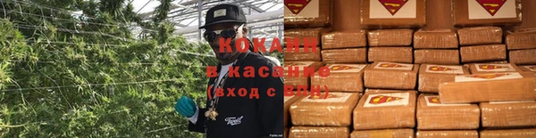 ГАЛЛЮЦИНОГЕННЫЕ ГРИБЫ Алексин