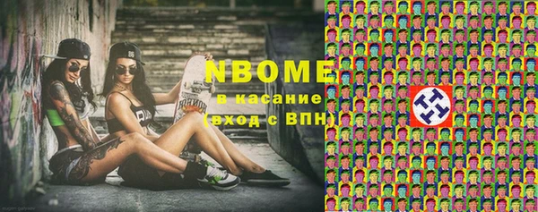 индика Вяземский